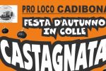 FESTA D'AUTUNNO IN COLLE
